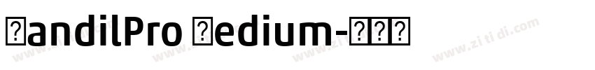 HandilPro Medium字体转换